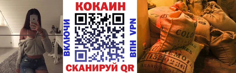 Купить закладки  Луза  Cocaine 99% 