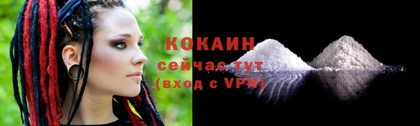 эйфоретик Кукмор