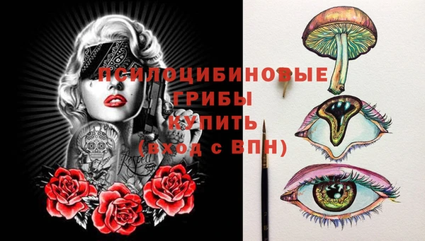 spice Куйбышев