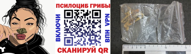 Купить  Луза  Галлюциногенные грибы мухоморы 