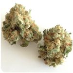Шишки "White Widow"  (Белая вдова)  Гидропоника -  Бошка VHQ в Лузе